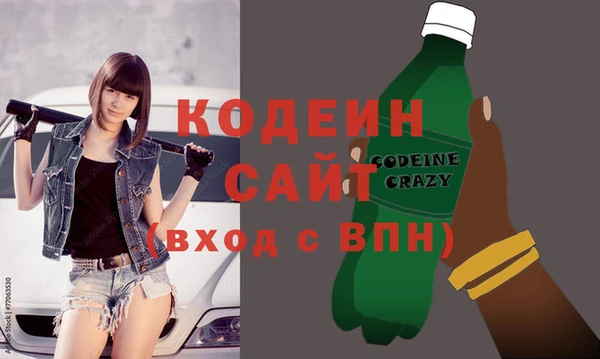 ГАЛЛЮЦИНОГЕННЫЕ ГРИБЫ Гусь-Хрустальный