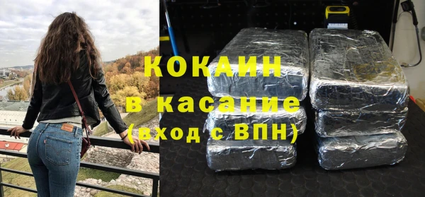 ГАЛЛЮЦИНОГЕННЫЕ ГРИБЫ Гусь-Хрустальный