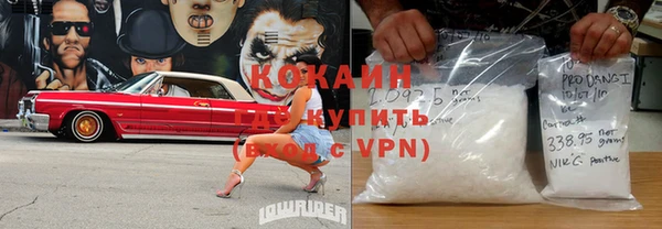 ГАЛЛЮЦИНОГЕННЫЕ ГРИБЫ Гусь-Хрустальный