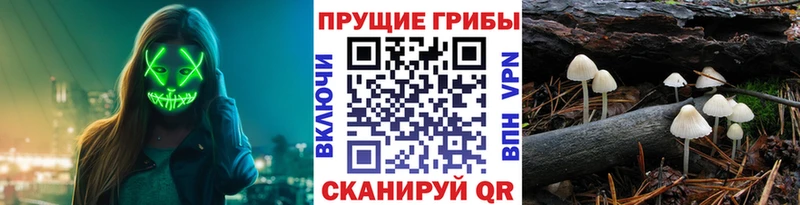 Псилоцибиновые грибы GOLDEN TEACHER  Жуковка 